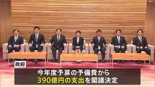 レアアースなど供給ルートを新たに開拓へ　政府が予備費で390億円支出を閣議決定　海外で資源開発する民間企業を支援へ| TBS CROSS DIG with Bloomberg