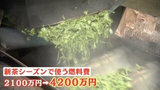重油価格が半年で倍に…新茶シーズン「待ったなし」現場の悲鳴　高市総理「石油備蓄20日分放出」“目詰まり”解消も指示| TBS CROSS DIG with Bloomberg