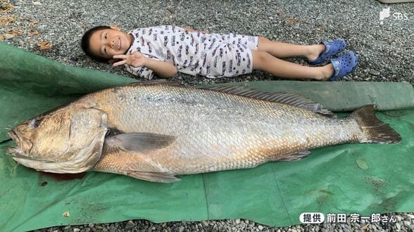 海岸に現れた1.5メートルの"幻の魚" 暗闇のなか「オオニベ」と3時間の格闘...釣り人が振り返った奇跡のキャッチ=静岡 | 静岡のニュース | SBSNEWS | 静岡放送