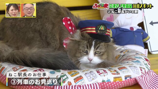 『ねこ駅長』がいる駅 働き方改革が猫ちゃんにも!?【ふくしまSHOW】|TBS NEWS DIG