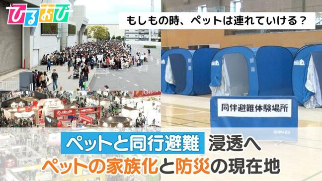 もしもの時、ペットは連れていける？「ペットと同行避難」浸透へ＿ペットの家族化と防災の現在地【ひるおび】|TBS NEWS DIG