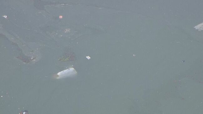 愛知・犬山市の入鹿池に墜落した自衛隊T4練習機 機体の一部など見つかる|TBS NEWS DIG