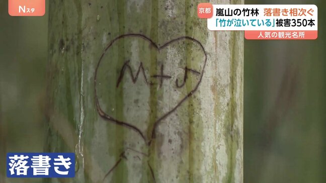 京都・嵐山の竹林で『落書き』増加　一体だれが！？　ハートにアルファベット　何かの記号　中にはカタカナや漢字のような文字も…|TBS NEWS DIG