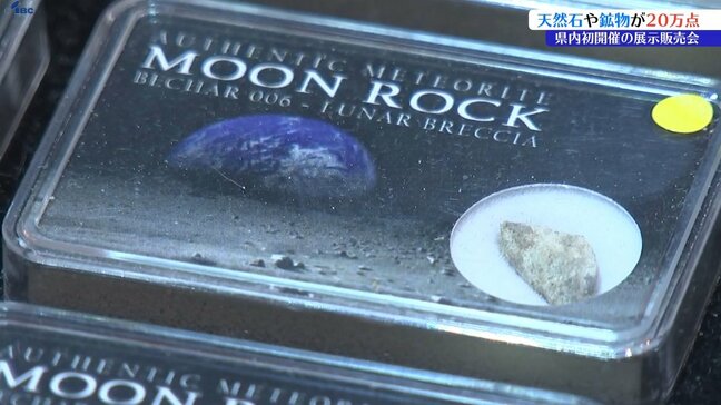 岩手県内初開催 天然石や化石の展示販売会 第1回岩手ミネラルマルシェ 岩手・滝沢市|TBS NEWS DIG