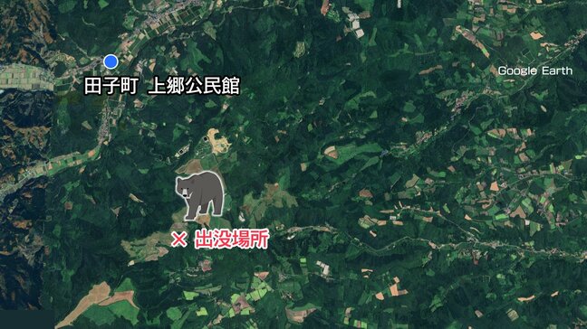 【速報・詳報】水質調査中にクマに襲われ男性けが　青森県内3日間で3件目の人的被害　岩手との県境付近で発生　顔や腕などにけがをして車に避難　青森県田子町|TBS NEWS DIG
