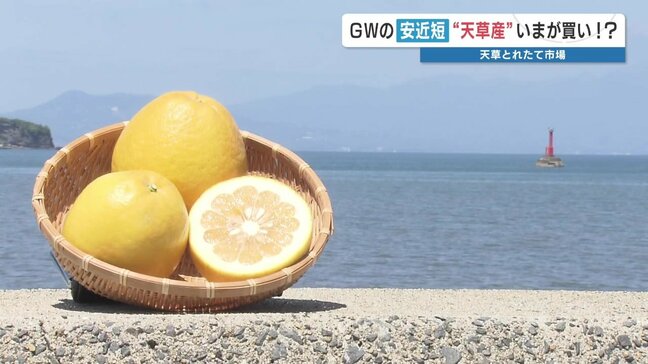 今年のＧＷは近場に注目　阿蘇と天草でお腹いっぱい！　熊本|TBS NEWS DIG