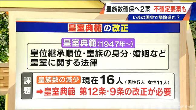 現在16人…皇族数を確保するための2案とは?その際 改正が必要となる「皇室典範」とは【大石邦彦解説】|TBS NEWS DIG