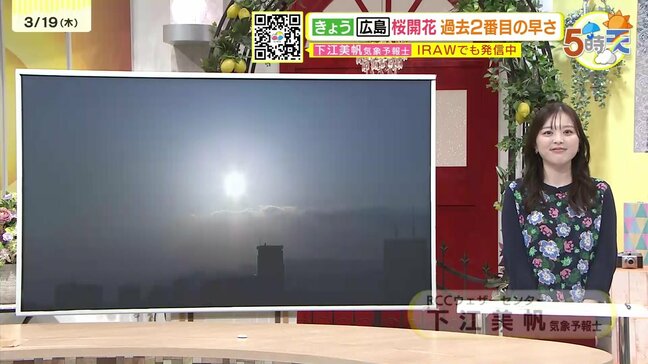【あす3/20(金)広島天気 】安定した晴天 一日の寒暖差・乾燥に注意 桜咲き進む暖かさ|TBS NEWS DIG