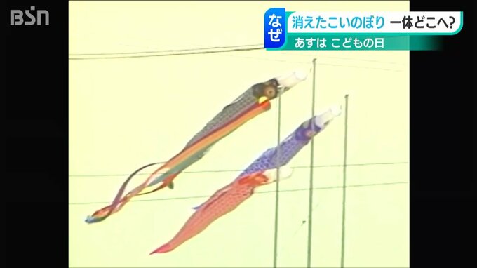 屋根より高い『こいのぼり』…あなたのご近所では“泳いで”いますか？|TBS NEWS DIG