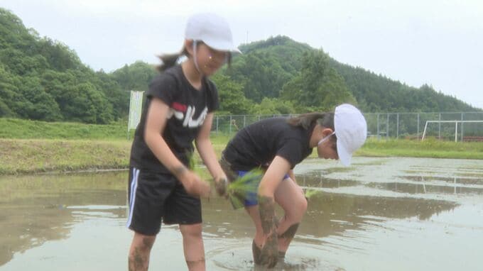 「米の値段はどうやって決まる？」値段についての質問も　小学生が田植え体験　山口・萩|TBS NEWS DIG