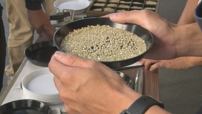 新米検査始まる　高温・渇水・イネカメムシの影響は？　|　BSSニュース | BSS山陰放送