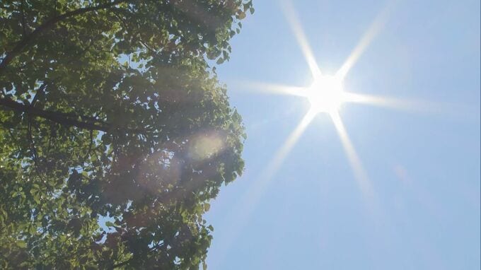 朝から解体作業していた40代男性が夕方に気分不良…同僚が119番通報するも救急隊到着時には呼吸停止状態に　熱中症原因とみられる死亡事例は鳥取県内で2例目　「躊躇なく救急要請を」「勇気をもって事業を一旦中止することも必要」|TBS NEWS DIG