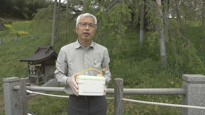 長寿の秘訣は？樹齢1000年超の三春滝桜　遺伝子解析へサンプリング採取　福島|TBS NEWS DIG