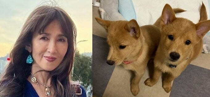 工藤静香さん　「ライブグッズの売り上げより、定期的にワンちゃん、猫ちゃんに寄付をさせていただいてます」　ＳＮＳで報告　「この子達が持つ　キラキラ笑顔は、これからです！」|TBS NEWS DIG