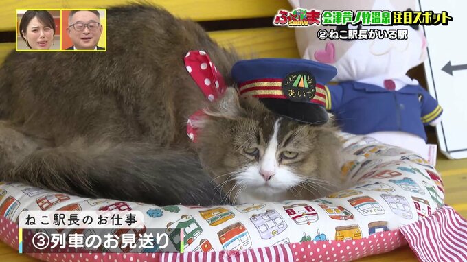 『ねこ駅長』がいる駅　働き方改革が猫ちゃんにも！？【ふくしまSHOW】|TBS NEWS DIG