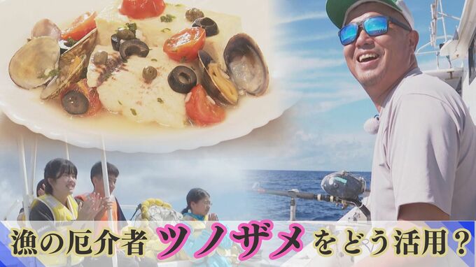 流通に乗らない“漁の厄介者=未利用魚”をどう活用？先細りの漁業に新たな活路か？|TBS NEWS DIG