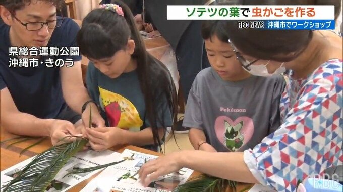 「ソテツ」で昔ながらの虫かご作り　夏休みに親子で体験　|　沖縄のニュース｜RBC 琉球放送