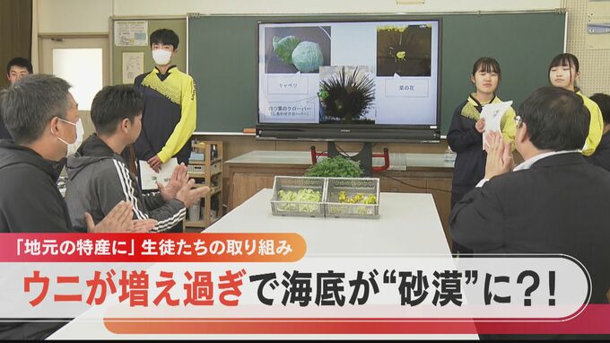 海藻を食べる厄介者のウニが大増殖 “中身がスカスカ”で利用価値なかったが…中学生が商品化目指し奮闘中　|　名古屋・愛知・岐阜・三重のニュース【CBC news】 | CBC web