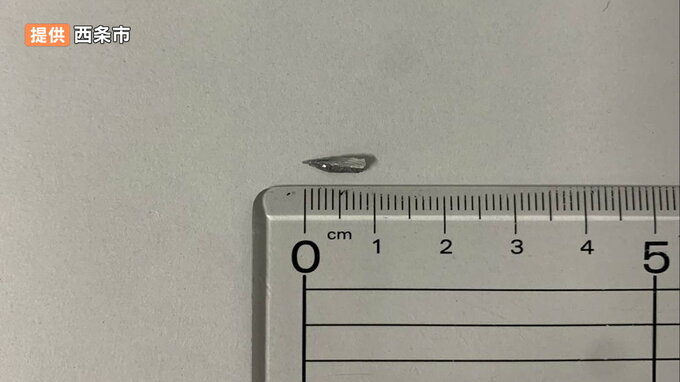 小学校給食の「さつま汁」に約1cmの金属片混入 裁断機の部品か 児童が具材をつまみ上げた時に発見　|　愛媛のニュース - Nスタえひめ｜あいテレビは6チャンネル