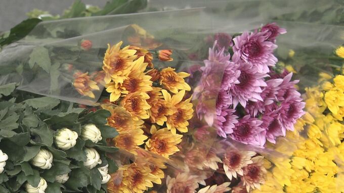 正月需要を見込み 沖縄産のキクの切り花を出荷|TBS NEWS DIG