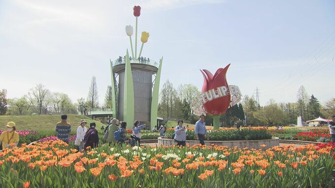 国内最大級! 350万本のチューリップが咲き競う「となみチューリップフェア」4月22日開幕 富山・砺波市|TBS NEWS DIG