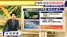 中部電力“データ不正”は｢耐震性を確保する上で最も重要｣な審査項目 福島第一原発の事故後に“安全性”厳格化も…なぜ？ 浜岡原発の再稼働審査は停止【大石邦彦解説】　|　名古屋・愛知・岐阜・三重のニュース【CBC news】 | CBC web