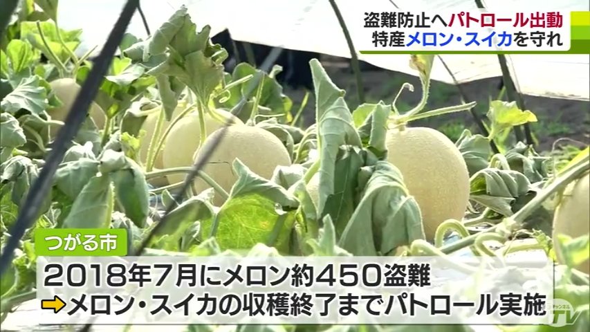 特産のメロン・スイカを守れ！「不審な車や人を見かけたら迷わず警察に