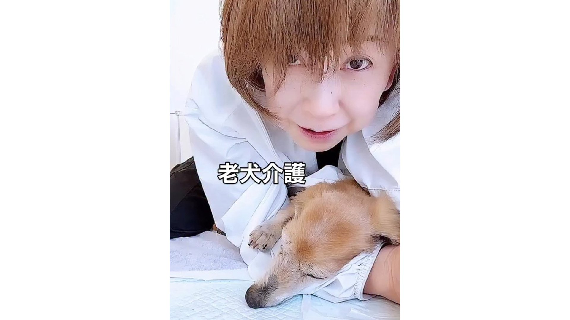 大場久美子 】 24時間態勢で愛犬「心菜」ちゃんを介護 「昼夜逆転は