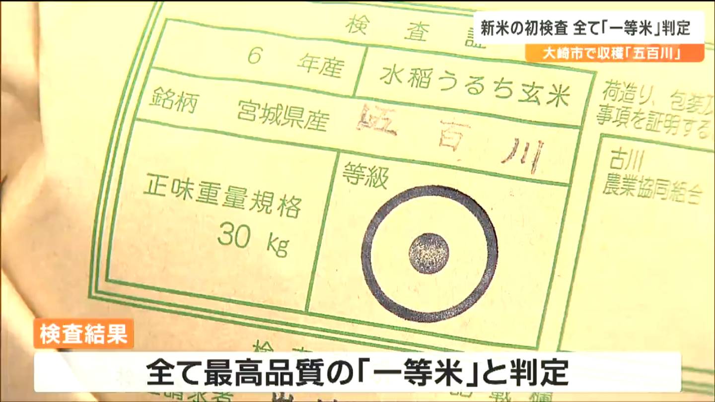すべて一等米」コシヒカリ系の極早稲種『五百川』およそ4トン 新米の初 すべて一等米」コシヒカリ系の極早稲種『五百川』およそ4トン 新米の初