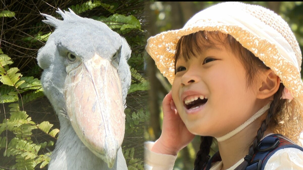 家族で楽しむ動物園！『こどもの日』の盛況ぶり