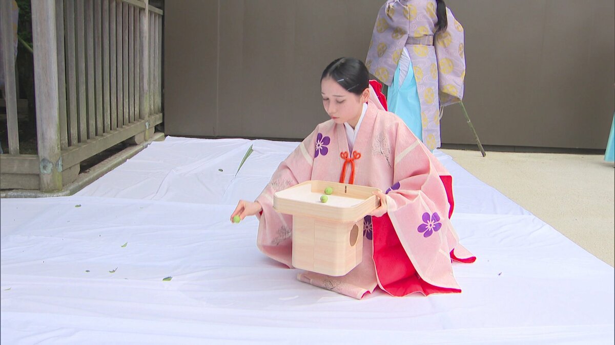 太宰府天満宮で飛梅ちぎり 今年は開花早く取れた実は43個 去年の8分