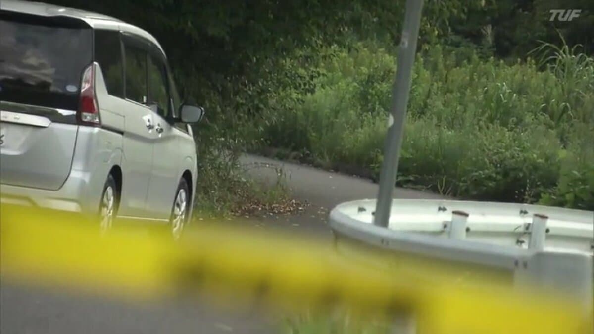 室内の防犯カメラに“暴行の一部始終”が…男が90代男性を拳銃のような