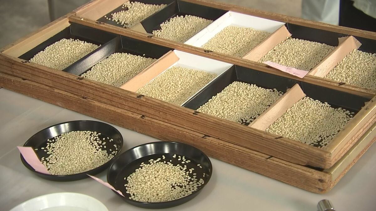 もち米「ヒメノモチ」品質検査始まる 天候に恵まれ、初日出荷分は最高