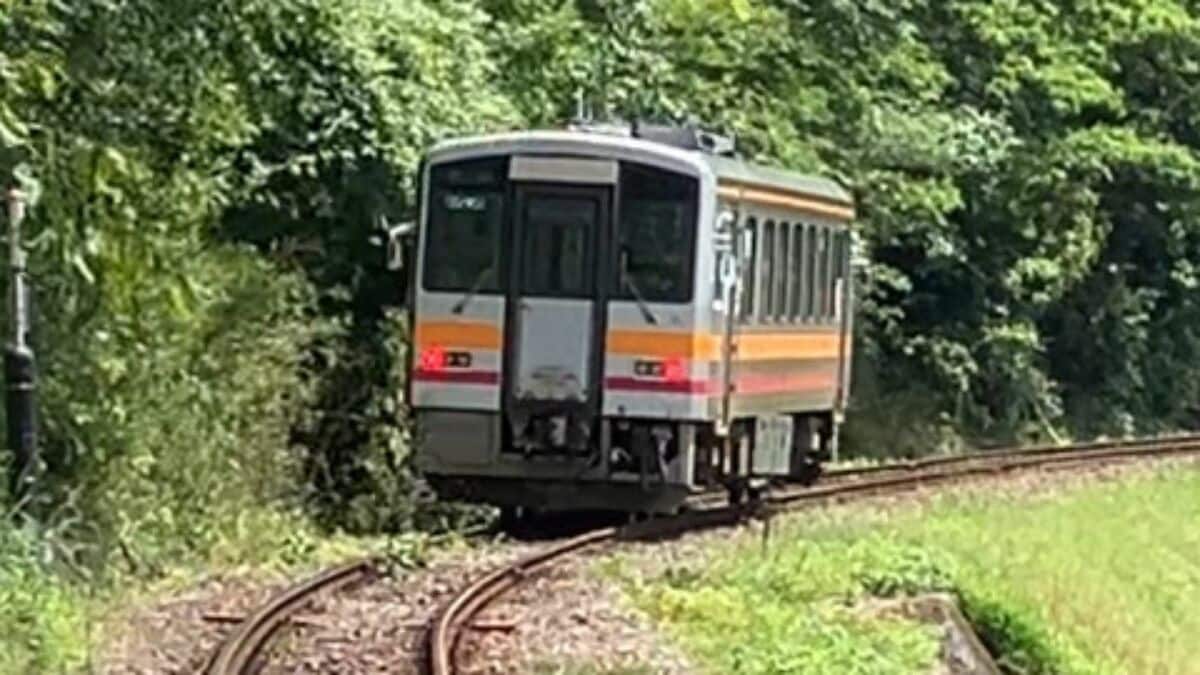 【JR因美線】運転再開　三浦駅～美作滝尾駅間で列車が人と接触　智頭駅～東津山駅間で運転ストップ　成人男性1人を搬送　→午後7時50分運転再開【岡山】
