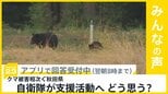 クマ被害相次ぐ秋田県 自衛隊が支援活動へ…どう思う？【news23】|TBS NEWS DIG