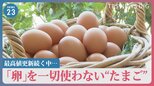 卵だけどたまごじゃない！ 価格高騰で注目が集まる「代替卵」とは？大手食品メーカーやベンチャー企業も続々参入【news23】|TBS NEWS DIG