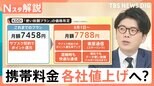 「安くするには経済圏にどっぷりつかること」携帯大手 主要プラン値上げ、街で調査 毎月の利用料金【Nスタ解説】|TBS NEWS DIG