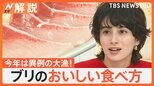 旬のブリ 今年は異例の大漁!約2割安くて脂乗り抜群、おすすめの食べ方は醤油に「一味唐辛子」【Nスタ解説】|TBS NEWS DIG