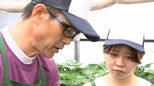 「お金には代えられない体験」 人手不足を旅人が解消 注目高まる“おてつたび”【現場から、】|TBS NEWS DIG