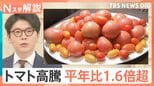 「いま400円ぐらい」もはや高級野菜…“トマトショック” 高値はいつまで続く?【Nスタ解説】|TBS NEWS DIG