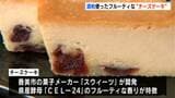 酒粕使った“チーズケーキ”先行販売…高知県産酵母「CEL-24」活用、フルーティな味わいに　|　高知のニュース・天気｜KUTV NEWS | KUTVテレビ高知