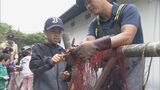伊勢エビかかり子ども大喜び 網にはウツボも 「刺し網漁」の体験学習　|　名古屋・愛知・岐阜・三重のニュース【CBC news】 | CBC web