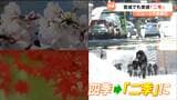 農家も「秋と春返してほしい」 宮城でも実感"二季"の一年 流行語大賞のトップ10入り 要因は温暖化で起こりやすくなった「偏西風の蛇行」とその向きに|TBS NEWS DIG