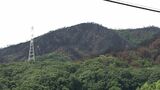 3月発生の山林火災について県と市が住民説明会 復旧に向けた森林の調査結果などを報告 農家からは支援求める声も【岡山】|TBS NEWS DIG
