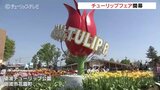 初日からチューリップ満開！300品種300万本が咲き誇る　となみチューリップフェア開幕　富山・砺波市　|　富山のニュース｜天気・防災｜チューリップテレビ
