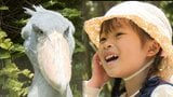 動物の“子ども”も大人気!「こどもの日」動物園は約5000人で盛況…生後4か月のシマウマ、1歳のキリン…かわいい動物たちが来園者を魅了 | 高知のニュース・天気|KUTV NEWS | KUTVテレビ高知