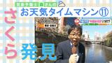 いよいよ「桜」開花へカウントダウン。身近な「桜」とお花見の話【お天気タイムマシン】|TBS NEWS DIG