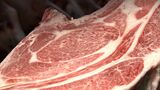 県産の牛肉や豚肉の品質を競うJA全農岡山の枝肉共進会 霜降りの状態や各部位のバランスなどを審査【岡山】 | 岡山・香川のニュース | 天気 | RSK山陽放送