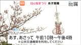 「tbc桜まつり2026」が4月11日と12日に東北放送で開催! 満開の桜のもとステージイベントやグルメを満喫できます!|TBS NEWS DIG