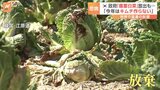 「夏野菜でさえ夏バテ」暑さで葉もの野菜高騰!韓国ではキムチに欠かせない「備蓄白菜」も放出する事態に…|TBS NEWS DIG